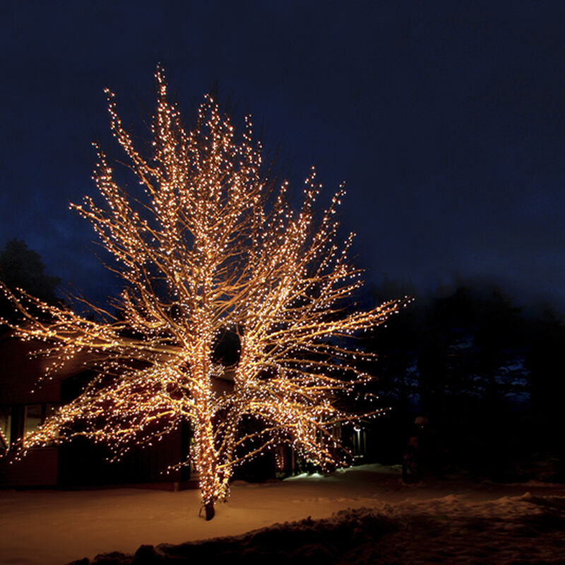 Iluminación de árbol enlazable negra 10M, 10 leds por metro, IP67 - Blanco cálido