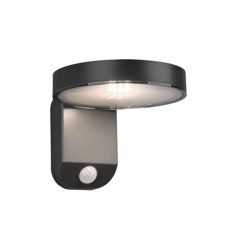 Aplique exterior con sensor de movimiento moderno antracita, Sunny, 4,5W, 3000K LED, IP44