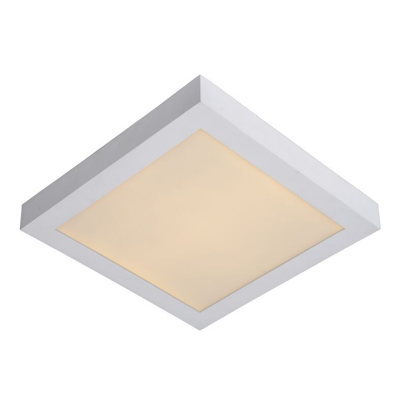 Plafón de techo moderno blanco, Brice, 30W, 3000K LED, IP44