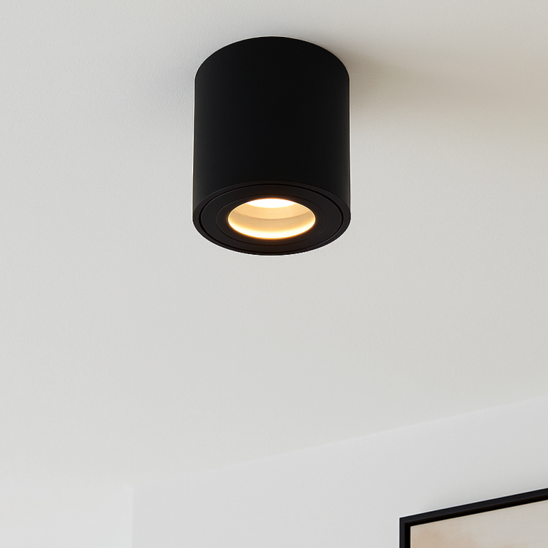 Aplique de techo negro moderno, Alion, IP44 Aplique de techo negro moderno, Alion, IP44