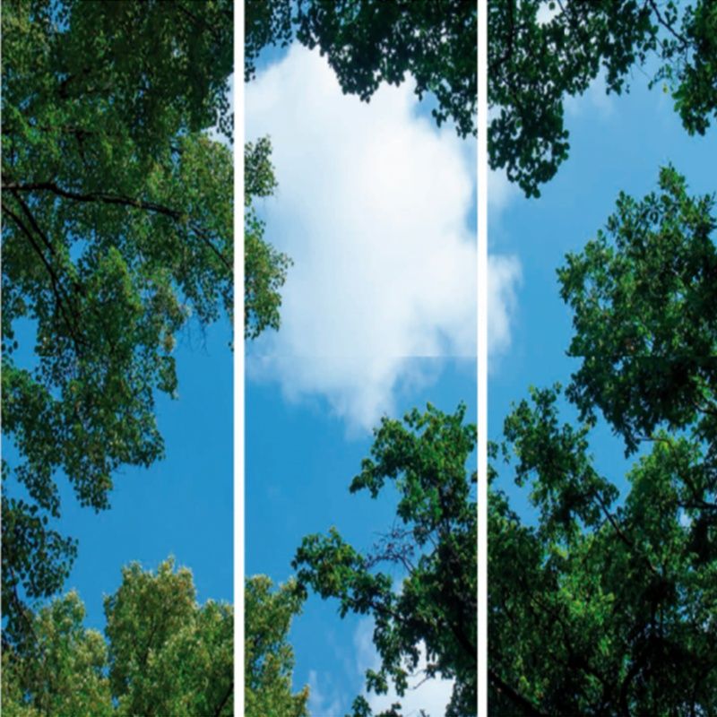 Impresión fotográfica nube con bosque - juego de 3 placas acrílicas con impresión, para paneles LED de 120x60 cm