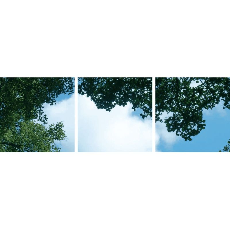 Impresión fotográfica nube con bosque - juego de 3 placas acrílicas con impresión, para paneles LED de 60x60 cm Impresión fotográfica nube con bosque - juego de 3 placas acrílicas con impresión, para paneles LED de 60x60 cm