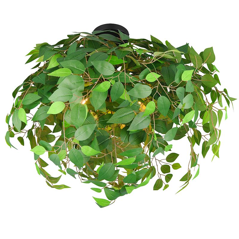 Plafón de techo diseño verde, Urwa