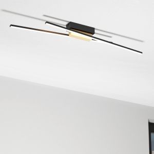 Lámpara de techo negra de aluminio, Leintje, 13W, 3000K LED