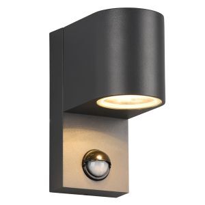 Aplique exterior con sensor de movimiento moderno antracita, Laurien, IP44
