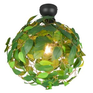 Plafón de techo diseño verde, Urwa