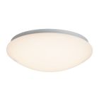 Plafón de techo blanco de plástico, Djalissa, 12W, 3000K LED