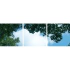 Impresión fotográfica nube con bosque - juego de 3 placas acrílicas con impresión, para paneles LED de 60x60 cm