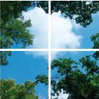 Impresión fotográfica nube con bosque - juego de 4 placas acrílicas con impresión, para paneles LED de 60x60 cm