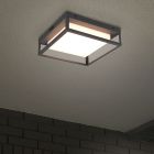 Lámpara exterior de metal antracita, Rolina, 14W, ajustable entre luz blanco cálido y frío LED, IP54, regulable en 3 pasos