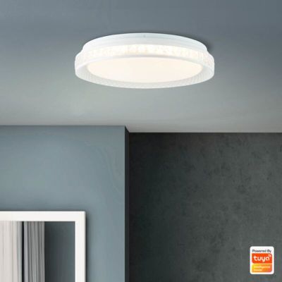 Lámpara de techo inteligente transparente moderna, Rashmi, 24W, ajustable entre luz blanco cálido y frío LED