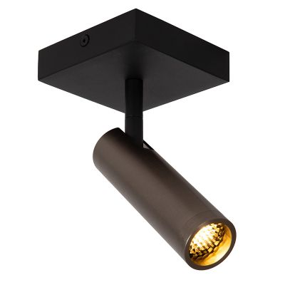 Foco de techo moderno gris, Grado