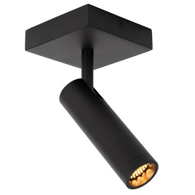 Foco de techo moderno negro, Grado