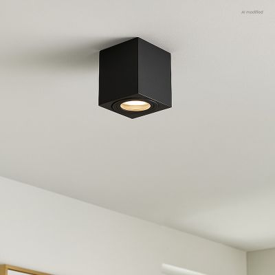 Aplique de techo negro moderno, Alion, IP44