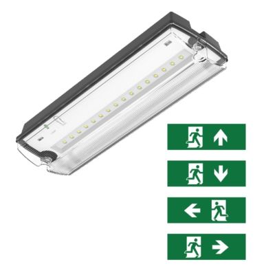Iluminación de emergencia negra con pictogramas, Pedram, 3W, LED 6500K, IP66