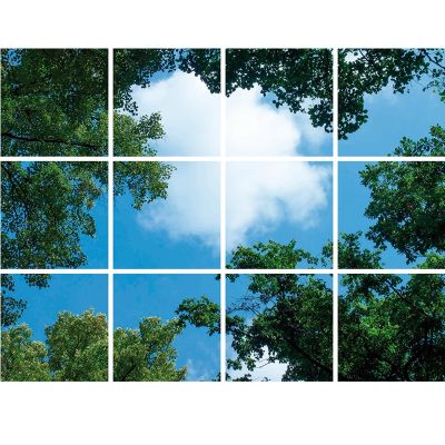 Impresión fotográfica nube con bosque - juego de 12 placas acrílicas con impresión, para paneles LED de 60x60 cm