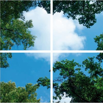 Impresión fotográfica nube con bosque - juego de 4 placas acrílicas con impresión, para paneles LED de 60x60 cm