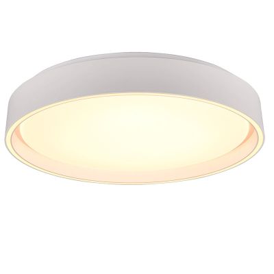 Plafón de techo de plástico blanco, Deon, 24W, ajustable entre luz blanco cálido y frío LED