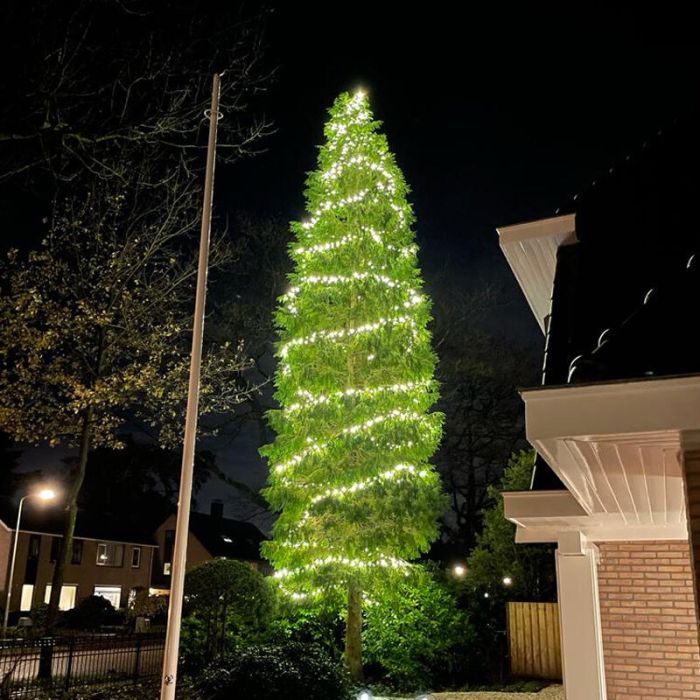 Iluminación de árbol enlazable negra 10M, 10 leds por metro, IP67 - Blanco cálido