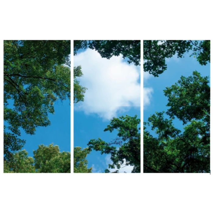 Impresión fotográfica nube con bosque - juego de 3 placas acrílicas con impresión, para paneles LED de 120x60 cm