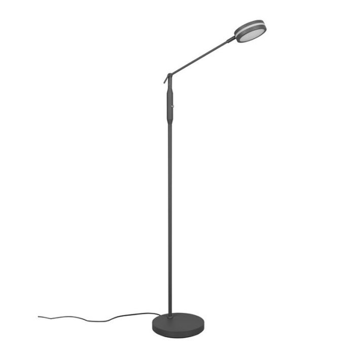 Lámpara de pie de lectura moderna antracita, Marjon, 6W, ajustable entre luz blanco cálido y frío LED, con regulador táctil